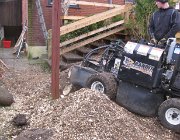 2016-04-06 09-51-04 - IMG 6105